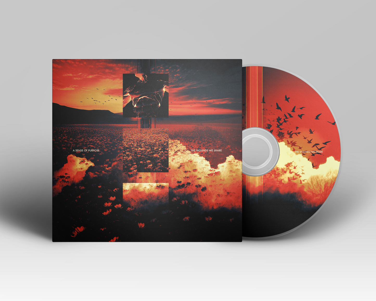 The Wounds We Share CD