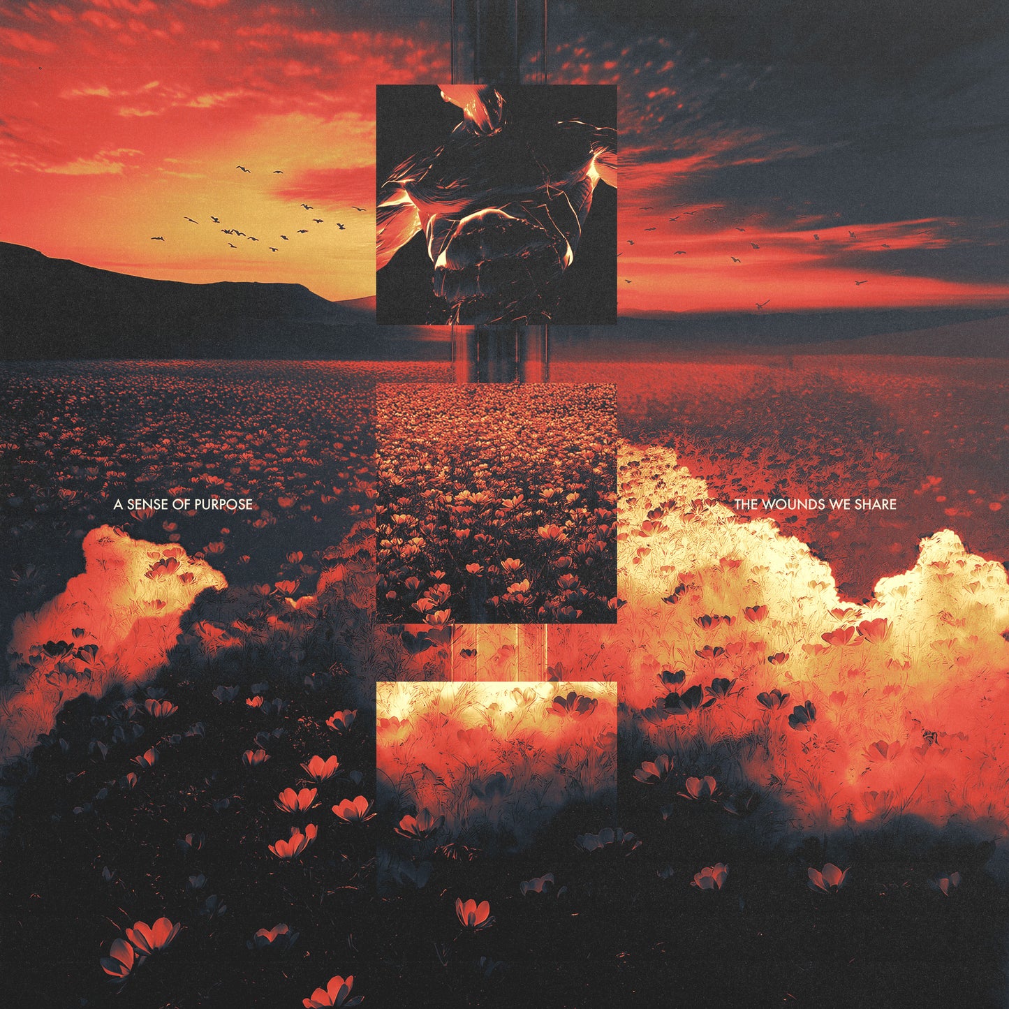 The Wounds We Share CD